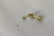 A Pair of 14 Karat Gold Earrings - 3
