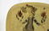 A Rosenthal Bjorn Wiinblad Square Plate - 2