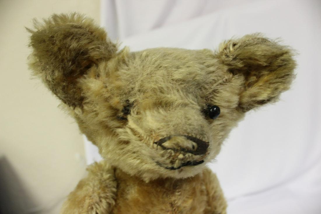 An Old Joint Teddy Bear: 17 1/2" tall - as found