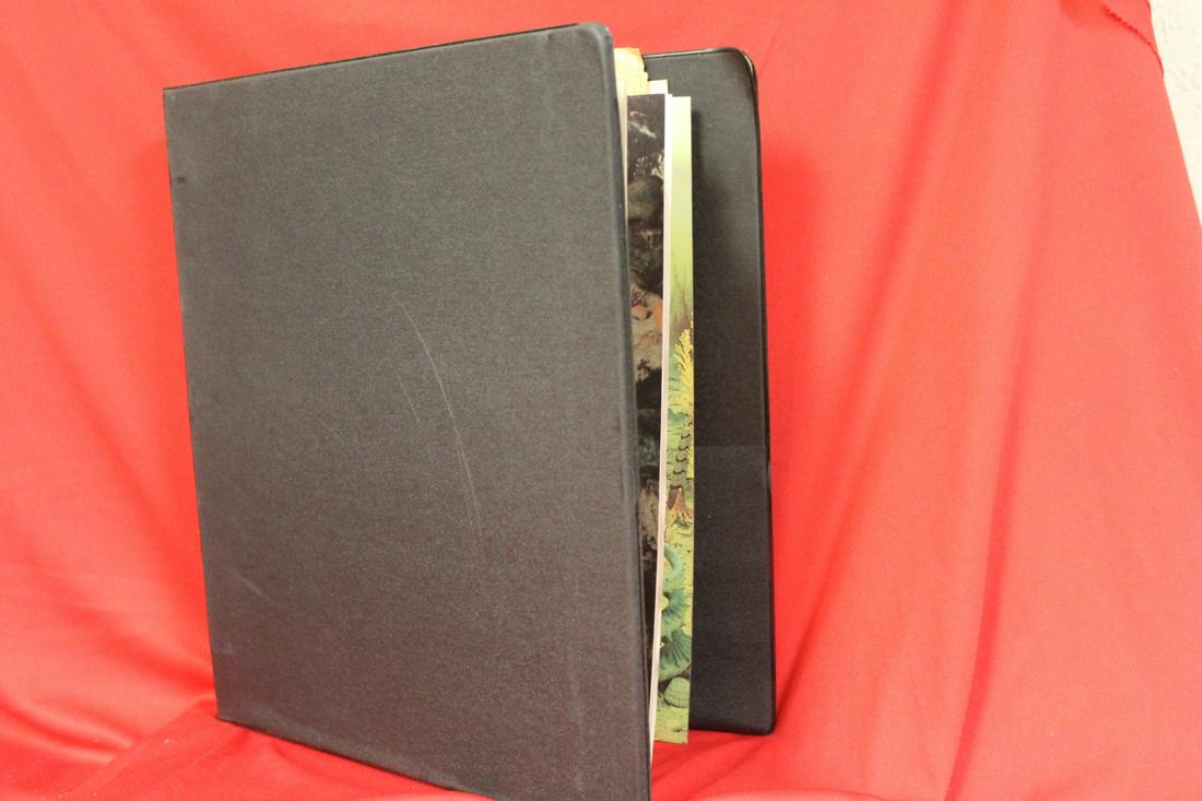 A First Day Cover Album: empty - few stamps