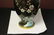 A Chinese Cloisonne Vase - 3