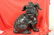 A Decorative Ceramic Foo Lion