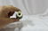 A Signed Miniature Pottery Vase - 3