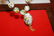 A Cloisonne Necklace - 7