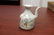 A Chinese Wine Bottle