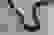 item-89249106=3