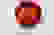 item-89293482=3