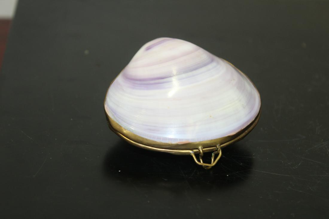A Shell Form Trinket Box/Purse: made with real seashell - 2 1/2" in diameter