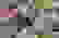 item-103189199=3