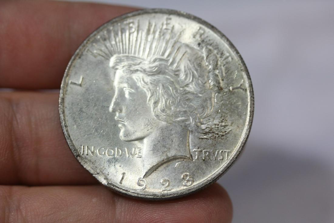 A 1923 Peace Silver Dollar: rim is smoothed - do not know if it's error or a blemish