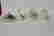 item-109008058=2