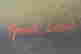 item-121261359=2