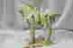 item-121266720=2