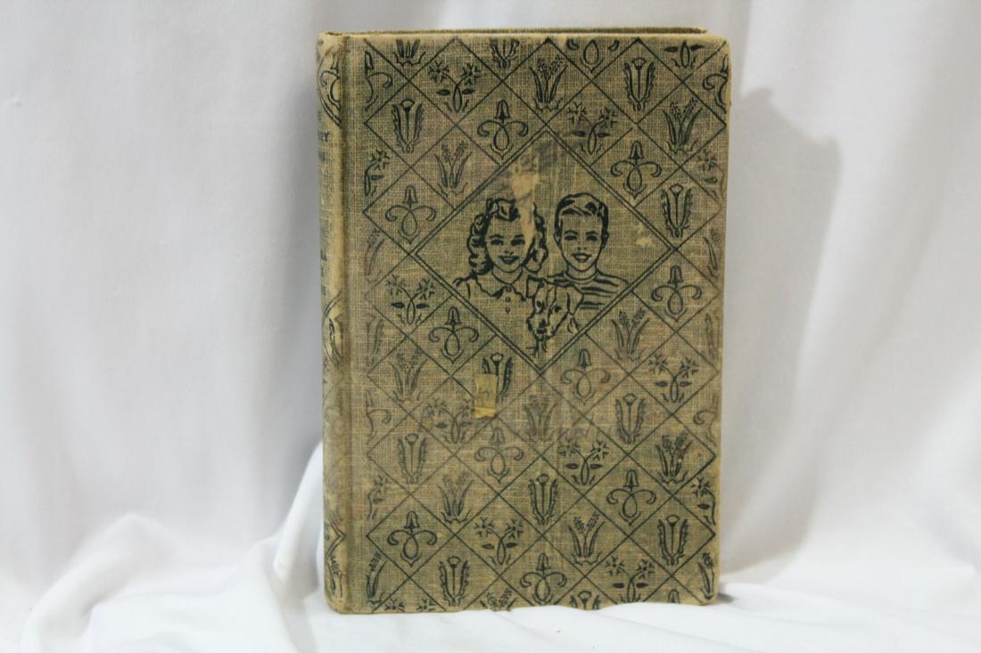 Hardcover Book: The Boobsey Twins: as shown