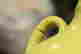 item-128963982=2