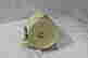 item-128964558=3