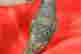item-129474170=4