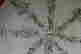 item-129475271=4