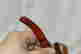 item-131292176=6