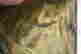 item-131292176=8