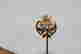 item-131623882=3