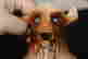 item-131624134=4