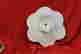 item-131601171=3