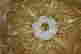 item-131601171=6