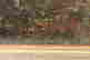 item-131601408=5