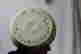 item-131601746=4