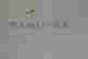 item-131601813=3