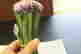 item-131601831=5