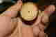 item-131621536=5