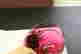 item-131621622=4