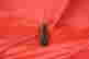 item-131621660=6