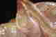 item-131621746=7