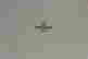 item-131621849=7