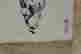 item-131622648=6