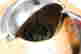 item-131950862=5