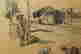 item-131962631=12