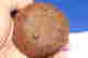 item-131962679=4