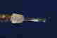 item-131962920=6