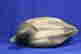 item-131963237=4