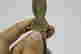 item-131963295=4