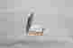 item-131961654=5