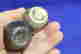 item-131962327=4