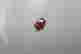 item-132527115=5