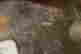 item-133544342=6