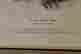 item-133541584=5