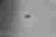 item-133986248=2